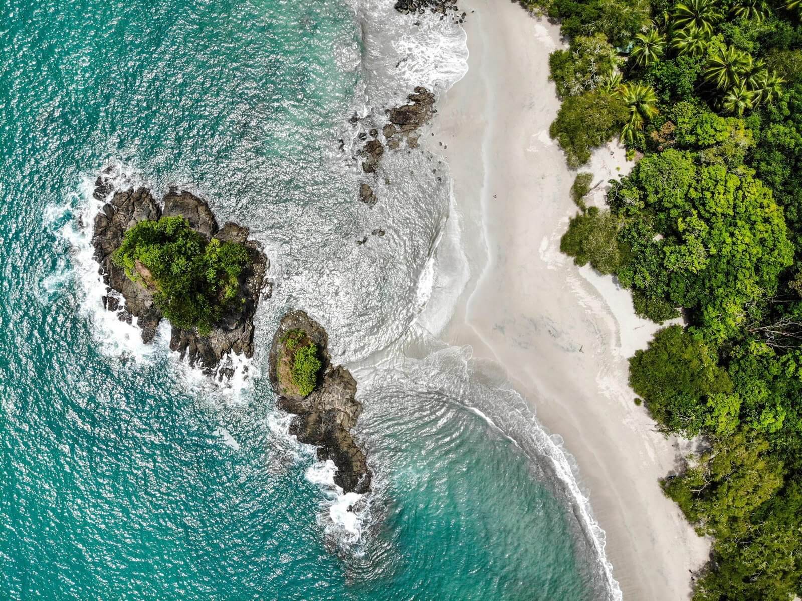 Featured image for “Exploring Paradise: A Guide to Manuel Antonio, Costa Rica”