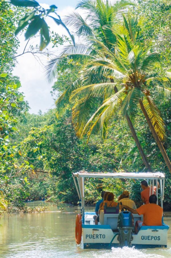 Mangrove Tour