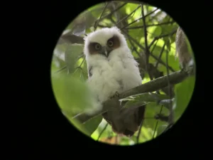 Explore Costa Rica