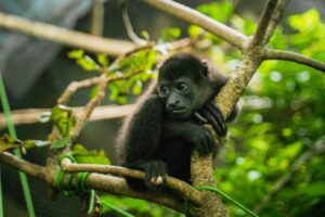 Explore Costa Rica