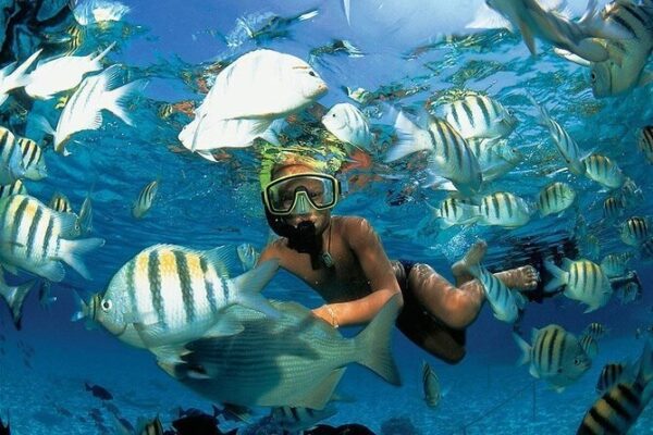 Explore Costa Rica