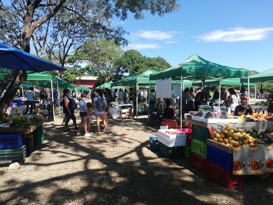 things to do in costa rica