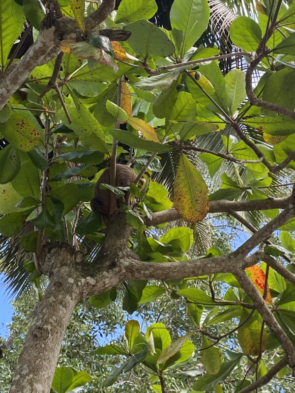Explore Costa Rica