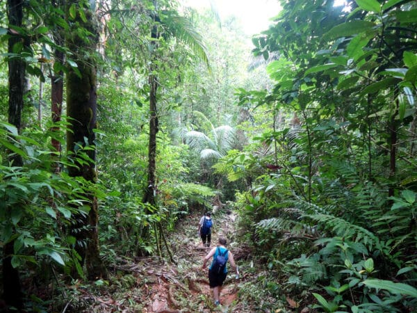 Explore Costa Rica
