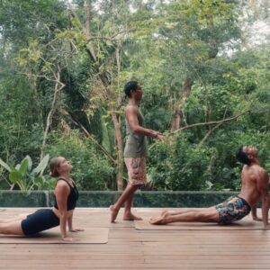 Featured image for “Private Yoga Session”