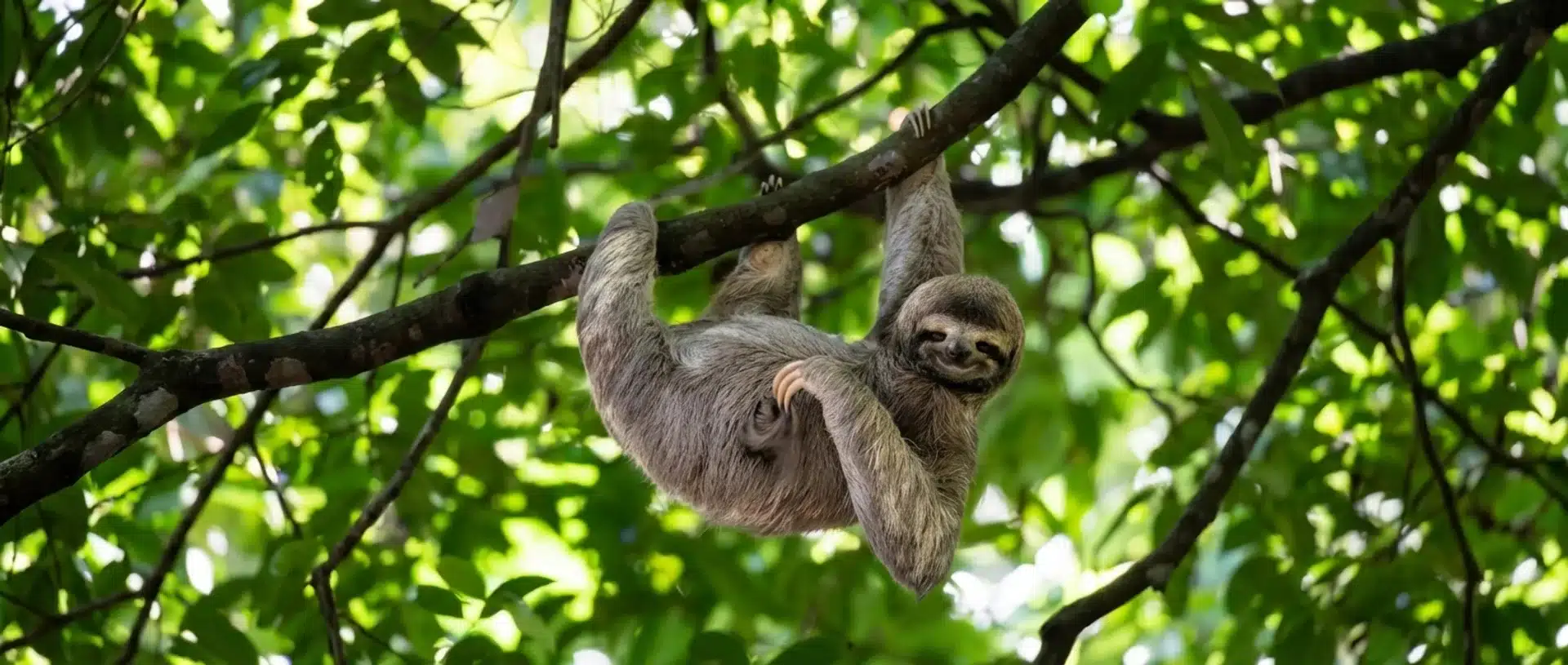 Featured image for “Is Costa Rica Expensive? What It Really Costs in 2026 (From Someone Who Lives There)”